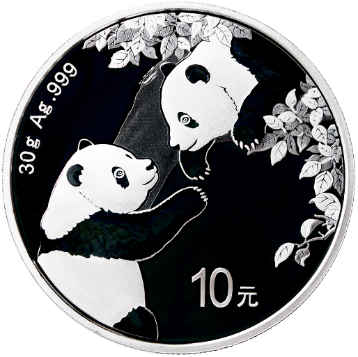 2023 30 Gram Silver Panda